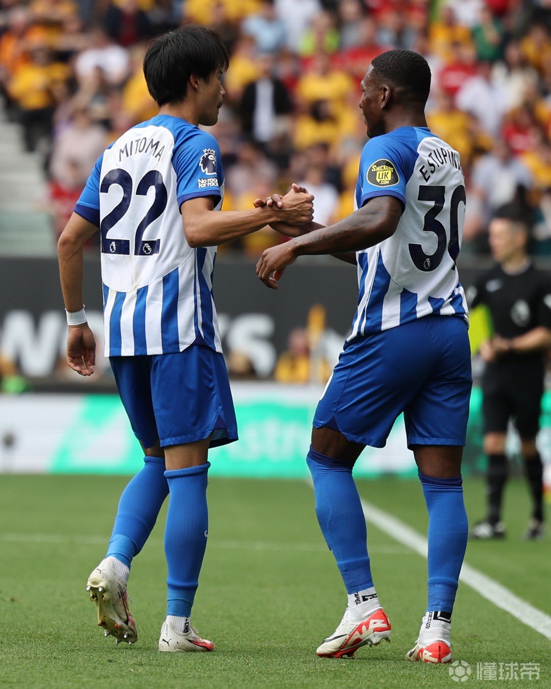 布莱顿训练开放日,冲刺阶段遗憾出局引欢呼,NBA总决赛在即,团队化学反应显著的简单介绍 布莱顿训练开放日,冲刺阶段遗憾出局引欢呼,NBA总决赛在即,团队化学反应显著的简单介绍